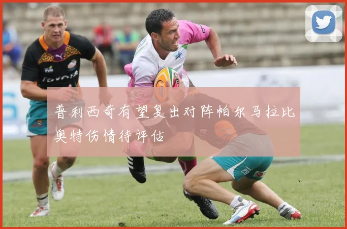 普利西奇有望复出对阵帕尔马拉比奥特伤情待评估